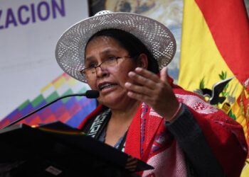 La Ministra de Culturas da detalles del encuentro en La Paz. Foto: ABI.