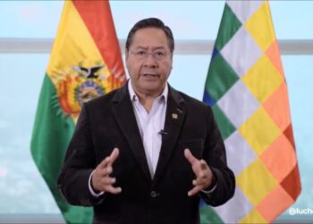 Arce: La ley no era necesaria a nivel jurídico y evitar un golpe de Estado no es traición
