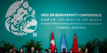 Guerra en Ucrania ocupa el debate en la COP15 sobre biodiversidad.