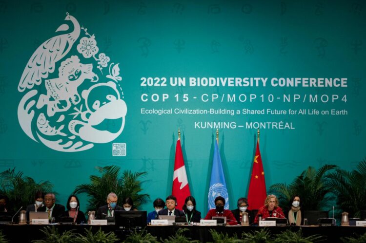 Guerra en Ucrania ocupa el debate en la COP15 sobre biodiversidad.