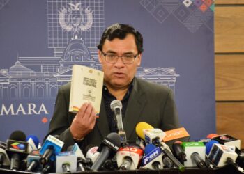 Ante divergencias en el MAS, Mercado recuerda que Arce puede aprobar el PGE 2023