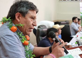 El presidente en ejercicio, David Choquehuanca, en un acto oficial de este martes. Foto: Vicepresidencia.