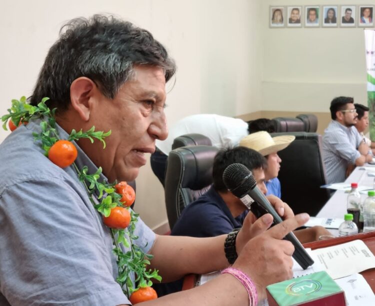 El presidente en ejercicio, David Choquehuanca, en un acto oficial de este martes. Foto: Vicepresidencia.