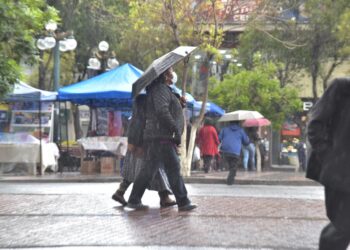 Concejala critica que Alcaldía de La Paz no cuenta con un plan para la temporada de lluvias