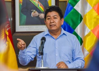 Ministro Montaño: No es el federalismo lo que busca el señor Camacho, es la división de Bolivia