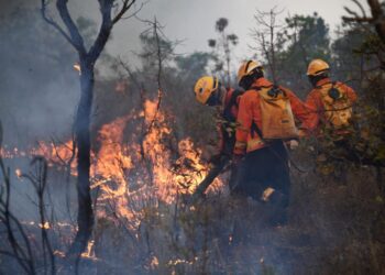 Incendio en Brasil casi se duplica en noviembre, a mismo mes de 2021.