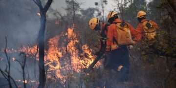 Incendio en Brasil casi se duplica en noviembre, a mismo mes de 2021.