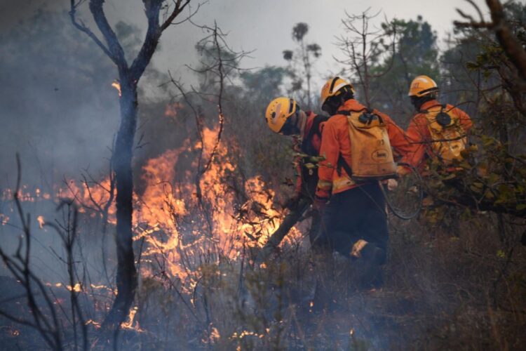 Incendio en Brasil casi se duplica en noviembre, a mismo mes de 2021.