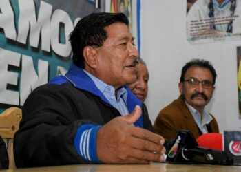 El vicepresidente del MAS, Gerardo García. Foto: APG.