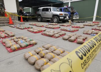 Droga secuestrada, Foto: APG.
