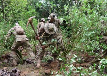 Uniformados realizan tareas de erradicación de coca excedentaria. Foto: Archivo La Razón.