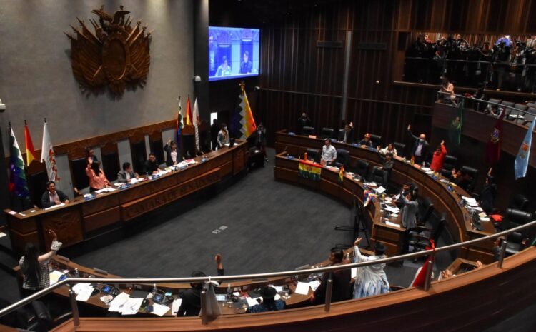 Una sesión en la Cámara de Senadores. Foto: Archivo La Razón.