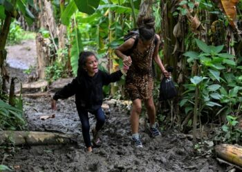 Niños perdidos selva colombiana