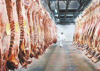 Récord histórico: Exportación de carne alcanza los $us 120 millones en 10 meses