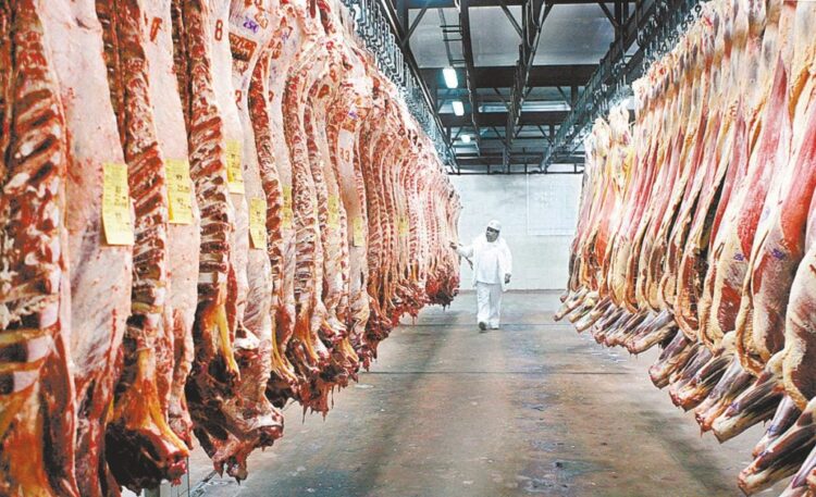 Récord histórico: Exportación de carne alcanza los $us 120 millones en 10 meses