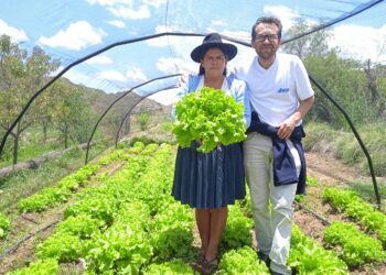 BDP y PROAGRO aportan a la seguridad alimentaria del departamento de Chuquisaca