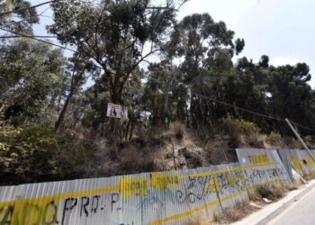 Equipos jurídicos de Silva y Arias realizan observaciones a ampliación de la Ley 247