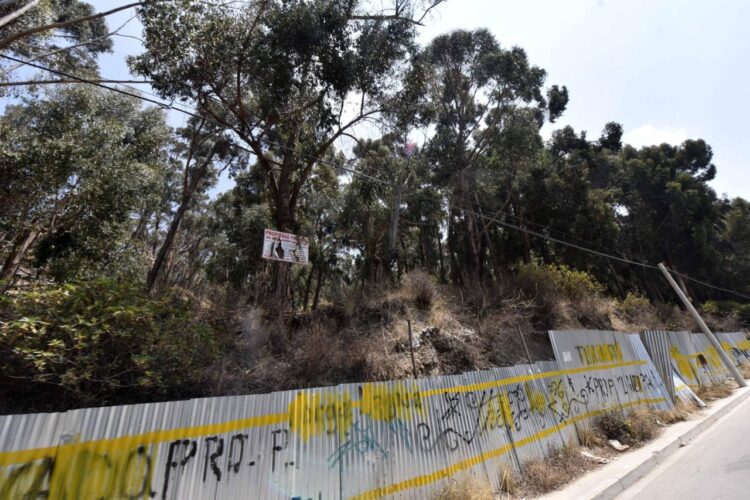 Equipos jurídicos de Silva y Arias realizan observaciones a ampliación de la Ley 247