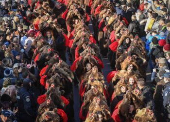 Desfile de osos se convierte en una nueva atracción turística de Rumanía.