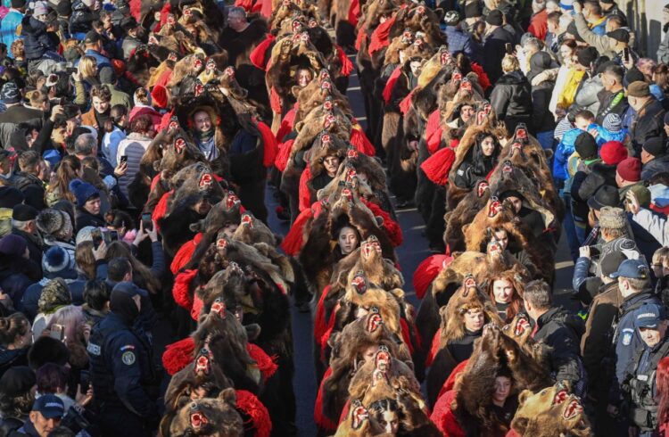 Desfile de osos se convierte en una nueva atracción turística de Rumanía.