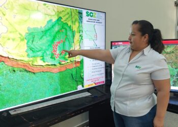 Más de 70 mil héctareas han sido afectadas por incendios forestales en el departamento de Santa Cruz