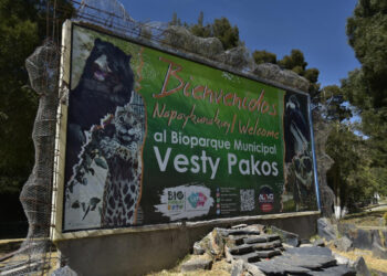 Director de Biodiversidad anuncia demanda y suspensión temporal del bioparque Vesty Pakos