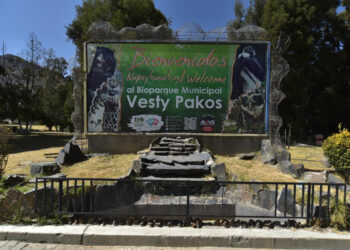 Suspenden al Vesty Pakos, Arias dice que la mayoría de animales fallecidos son lagartijas