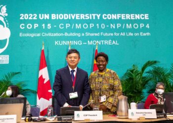 La cumbre de la COP15, realizada en Montreal, donde se alcanzó el acuerdo. Foto: AFP