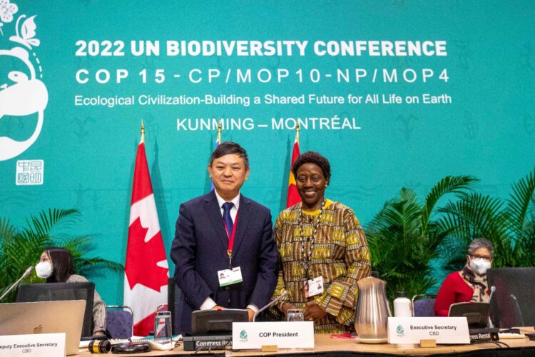 La cumbre de la COP15, realizada en Montreal, donde se alcanzó el acuerdo. Foto: AFP