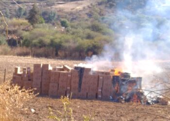 Aduana comisa 20 toneladas de contrabando en Tarija valuada en Bs 340.000