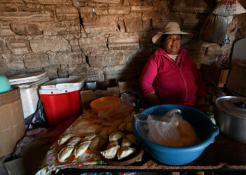 Una comerciante vende empanadas en la comunidad indígena Kolla en el Santuario de Tres Pozos, en Argentina, región afectada por los desastres climáticos. Foto: Aizar Raldes.