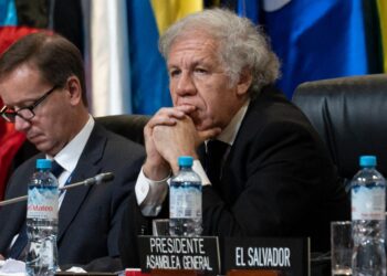 Almagro, ha confirmado durante la reunión del Consejo Permanente que tuvo una relación de tres años con una funcionaria.