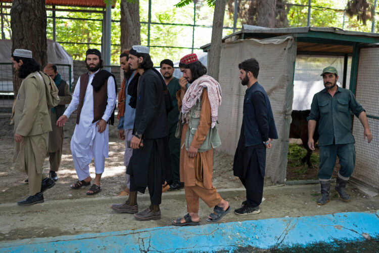 Amnistía Internacional denuncia la muerte de seis chiíes hazaras a manos de los talibán