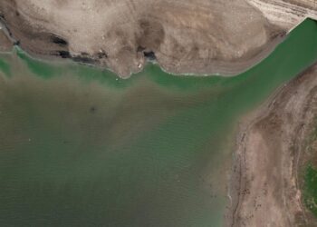 La reserva de agua de Bough Beech, en Kent (Reino Unido), en niveles bajos el 23 de agosto de 2022. Foto: AFP.