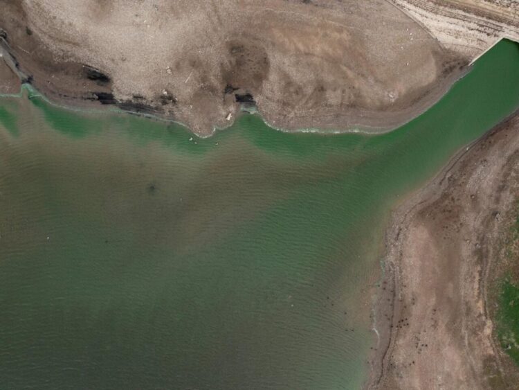 La reserva de agua de Bough Beech, en Kent (Reino Unido), en niveles bajos el 23 de agosto de 2022. Foto: AFP.