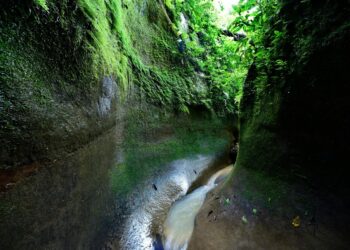 Imagen referencial del Parque Nacional Madidi. Foto: Archivo