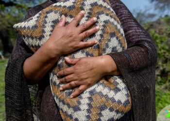 Bolivianos capacitan a mujeres en arte digital