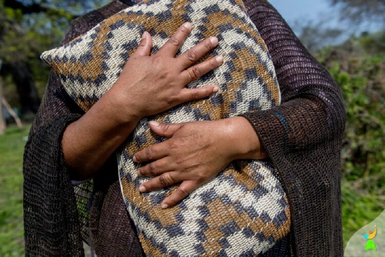 Bolivianos capacitan a mujeres en arte digital