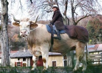 La jinete Sabine Rouas y el toro Aston. Foto: AFP