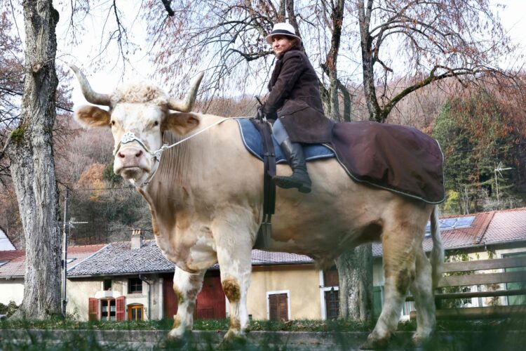 La jinete Sabine Rouas y el toro Aston. Foto: AFP
