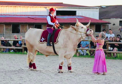 Aston, el toro francés que participa en un festival. Foto: AFP.