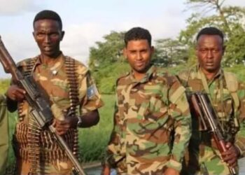 La OMS ofrece atención sanitaria a los casi 300 heridos del atentado del sábado en Mogadiscio