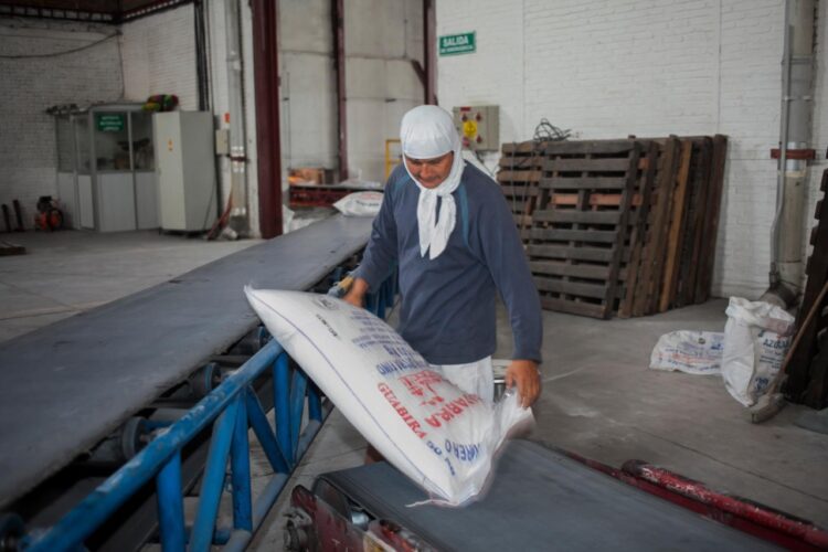 El 42% de la Inversión pública será destinado para el sector productivo