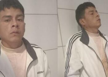 Ronny Mendoza, el hombre que mató a pedradas al perrito Toffy