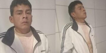 Ronny Mendoza, el hombre que mató a pedradas al perrito Toffy