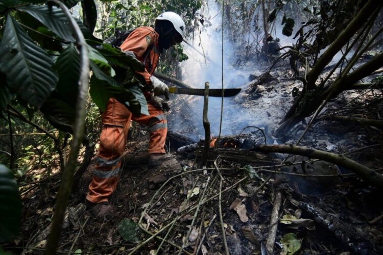 Bomberos bolivianos y peruanos sofocan los incendios en los Yungas y Palos Blancos. Foto: APG