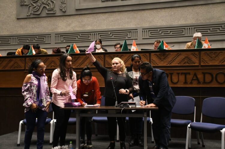 La Cámara de Diputados aprueba la ley del Censo y demanda la suspensión del paro