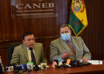 Caneb proyecta que las exportaciones llegarán a los $us 13.500 millones