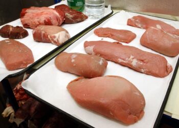 Los católicos ayudarían a reducir emisiones si dejan de comer carne los viernes, según un estudio