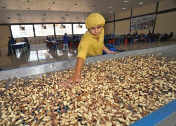 El valor de las exportaciones de castaña crece en 30,6% y su principal mercado es Países Bajos
